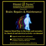 Brain: Repairs & Maintenance