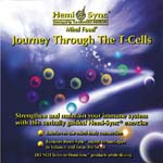 Journey Through The T-Cells