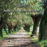 Support for Stroke Recovery